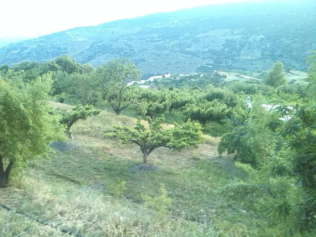 El Castanuelo Bayarcal Ξενοδοχείο Εξωτερικό φωτογραφία